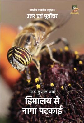 ghosts-in-shadows-hindi