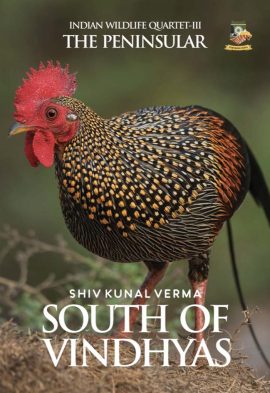 south-of-vindhyas