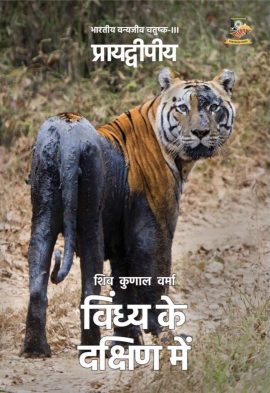 south-of-vindhyas-hindi